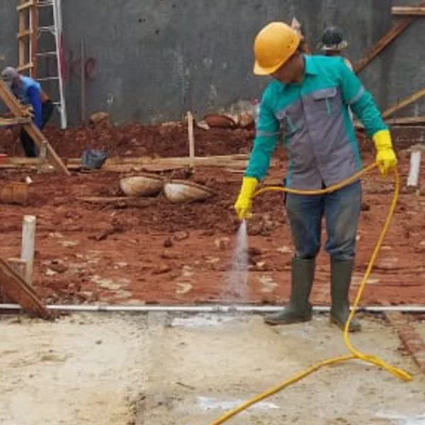 jasa anti rayap, jasa semprot anti rayap,