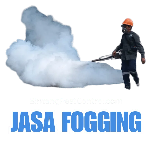 jasa antirayap murah