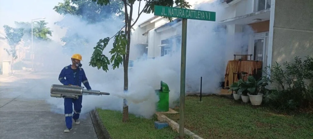 jasa fogging