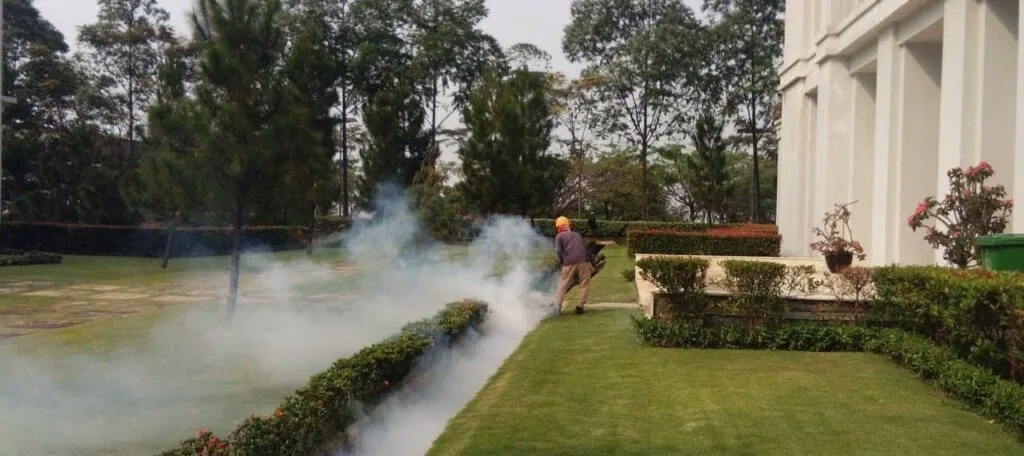 jasa fogging
