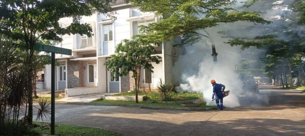 jasa fogging
