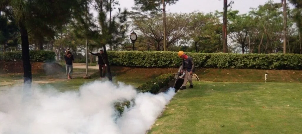 jasa fogging