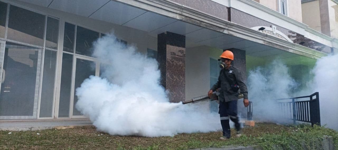 jasa fogging massal