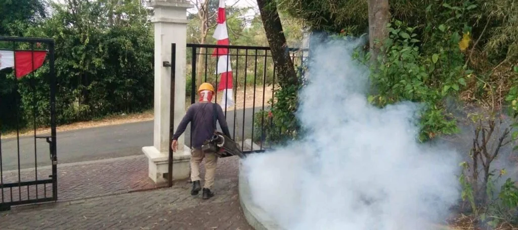 jasa fogging