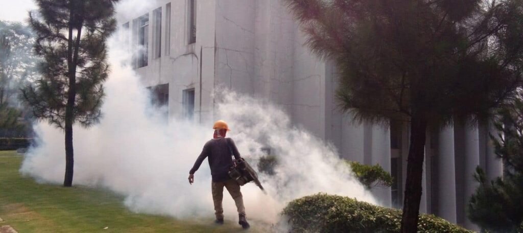 jasa fogging