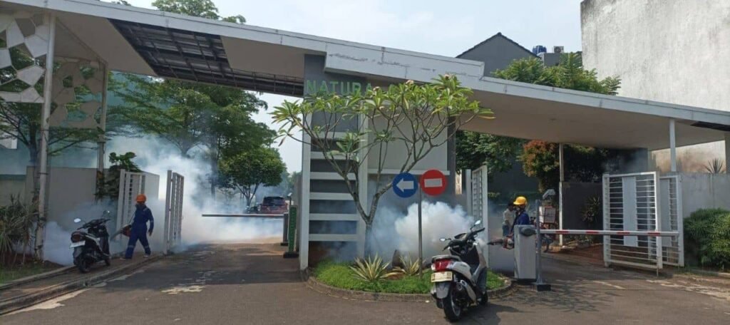 jasa fogging