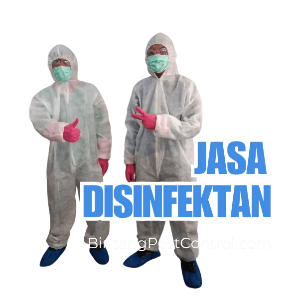 jasa disinfektan