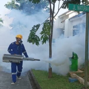 jasa fogging massal di Tangerang