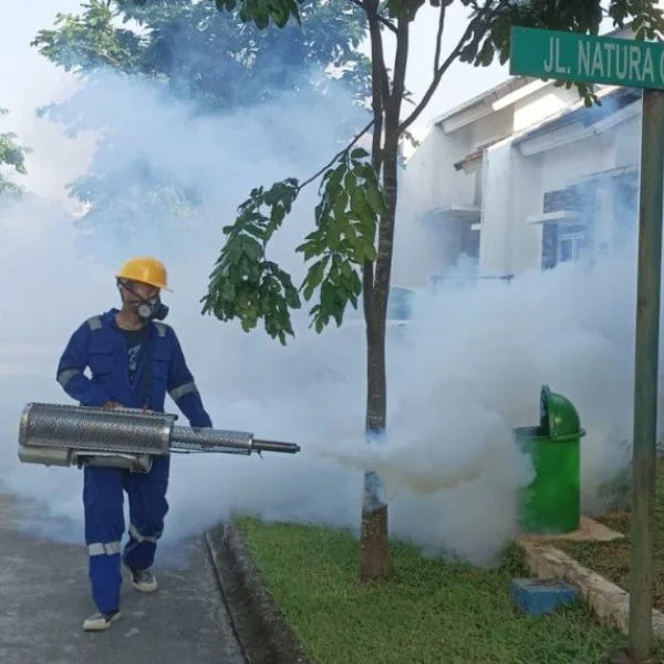 jasa fogging massal di Tangerang