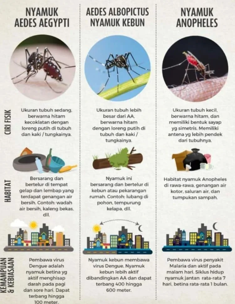bintang pest control