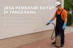 Jasa Pembasmi Rayap di Tangerang