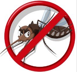 cegah demam berdarah, bpc pest control, bintang pest control,