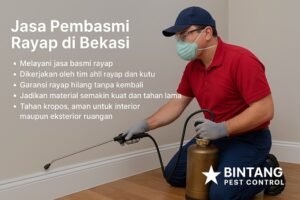 jasa pembasmi rayap di Bekasi,