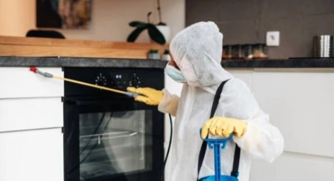 jasa anti rayap jakarta, jasa anti rayap tangerang, bpc pest control, pest control,