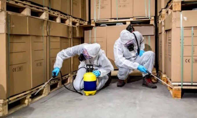 jasa anti rayap jakarta, bpc pest control, pest control,