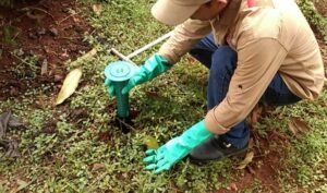 jasa pembasmi rayap bogor, bintang pest control,